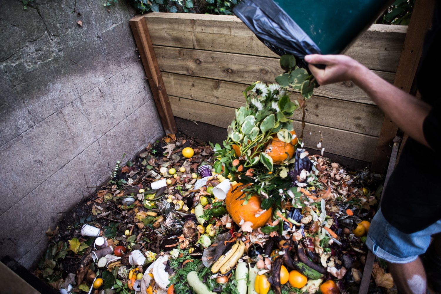 Who Is Responsible For Household Food Waste Documenting Food Waste