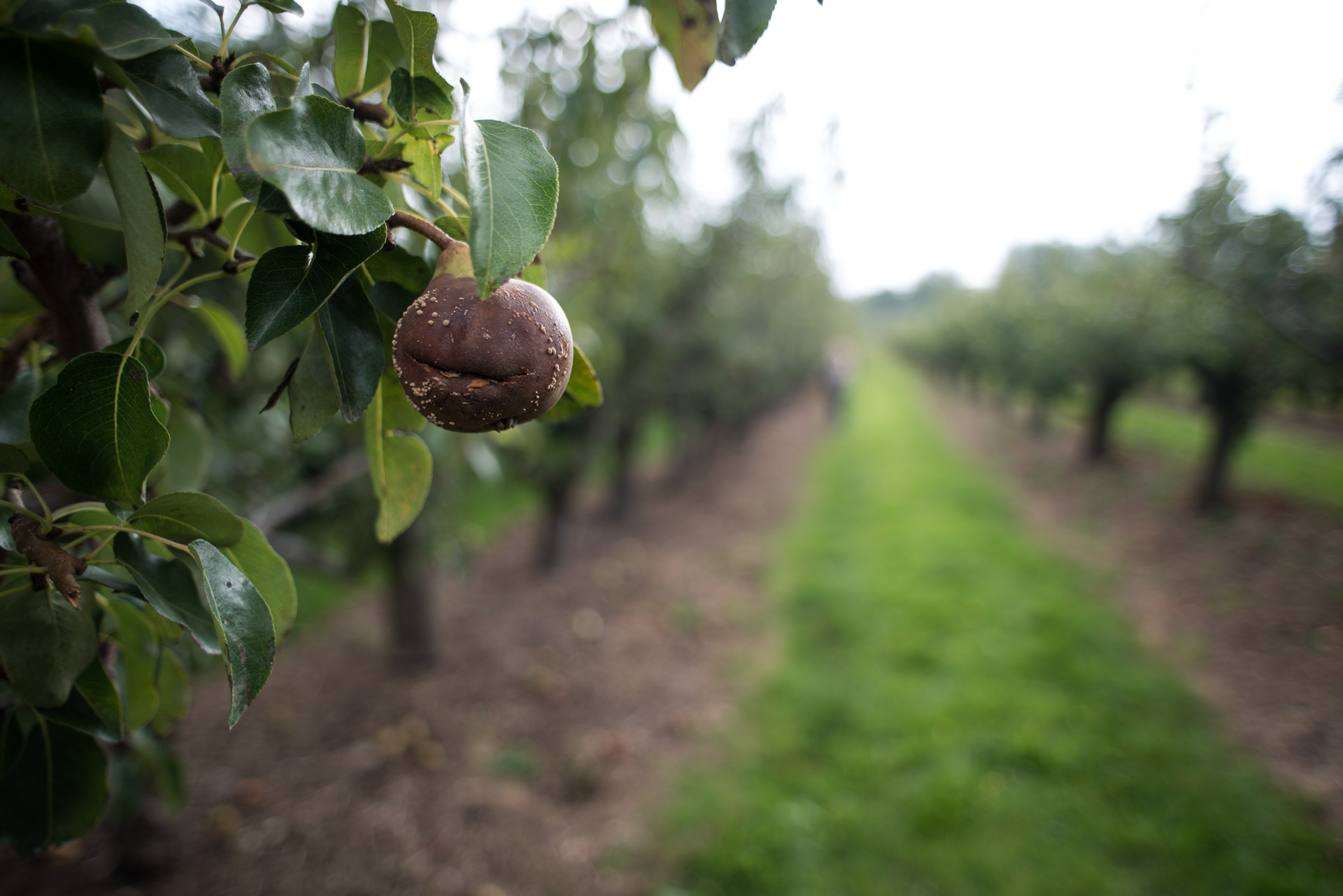 Food Waste in the UK - DOcumentary Photography by Chris King