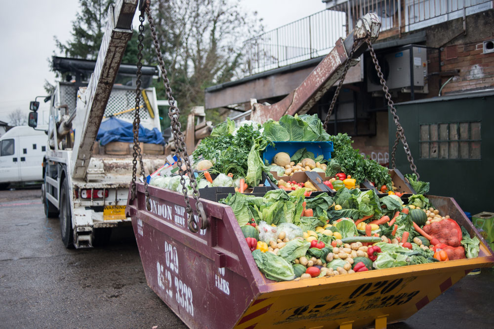 Stop the Rot Campaign - Food Waste Photography by Chris King