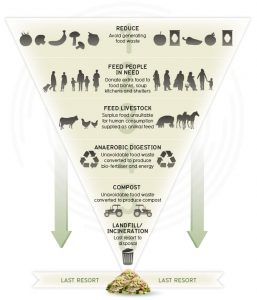 Food Waste Hierarchy