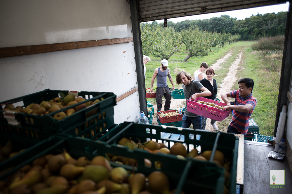 Chris King Photography - Documenting Food Waste - The Gleaning Network